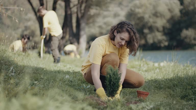 Best Lawn Edging  in Selma, NC